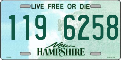 NH license plate 1196258