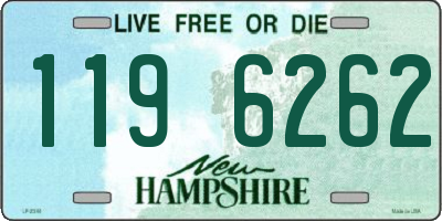 NH license plate 1196262
