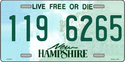 NH license plate 1196265