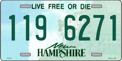 NH license plate 1196271