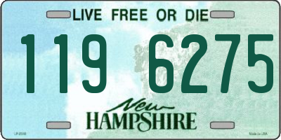 NH license plate 1196275