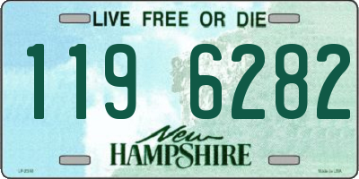 NH license plate 1196282