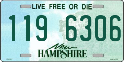 NH license plate 1196306