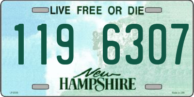 NH license plate 1196307