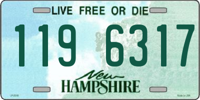 NH license plate 1196317