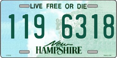 NH license plate 1196318