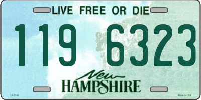 NH license plate 1196323