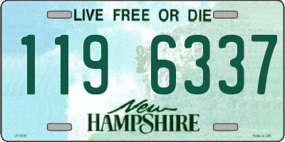 NH license plate 1196337