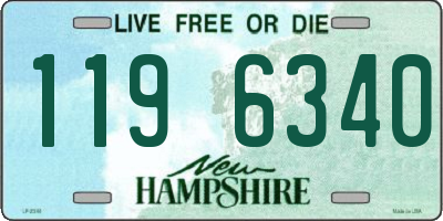 NH license plate 1196340