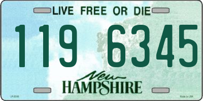 NH license plate 1196345