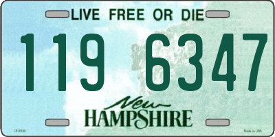 NH license plate 1196347