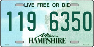 NH license plate 1196350