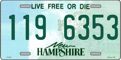 NH license plate 1196353