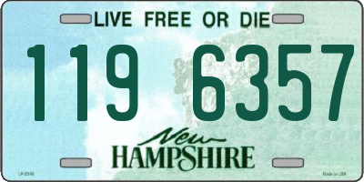 NH license plate 1196357