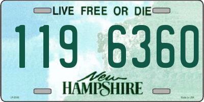 NH license plate 1196360