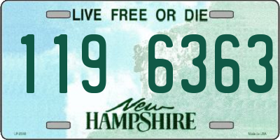NH license plate 1196363