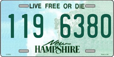 NH license plate 1196380