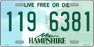 NH license plate 1196381