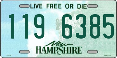 NH license plate 1196385
