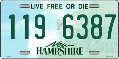 NH license plate 1196387