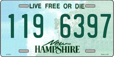 NH license plate 1196397