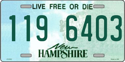 NH license plate 1196403