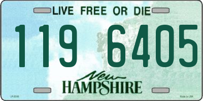 NH license plate 1196405