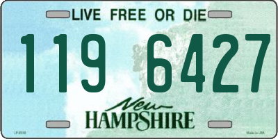 NH license plate 1196427
