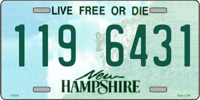 NH license plate 1196431