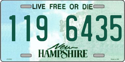 NH license plate 1196435