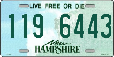 NH license plate 1196443