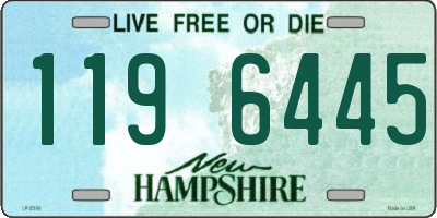 NH license plate 1196445
