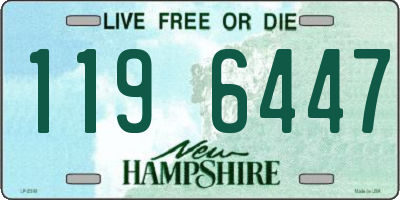 NH license plate 1196447