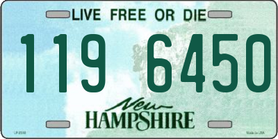 NH license plate 1196450