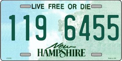 NH license plate 1196455
