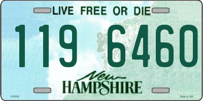 NH license plate 1196460
