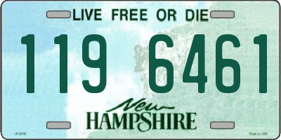 NH license plate 1196461