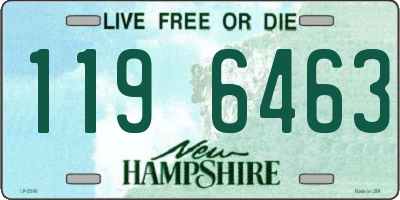 NH license plate 1196463