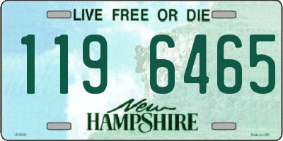 NH license plate 1196465