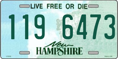 NH license plate 1196473