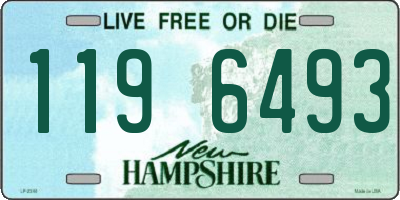 NH license plate 1196493