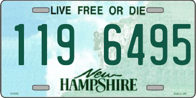 NH license plate 1196495