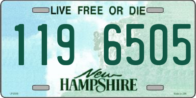 NH license plate 1196505