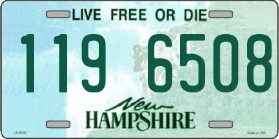NH license plate 1196508