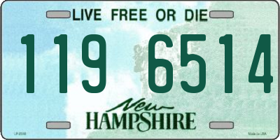 NH license plate 1196514