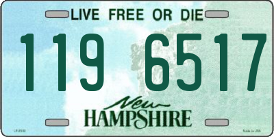 NH license plate 1196517