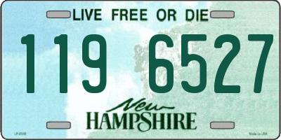NH license plate 1196527