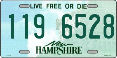 NH license plate 1196528