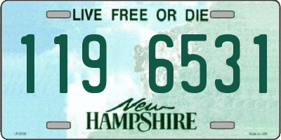 NH license plate 1196531