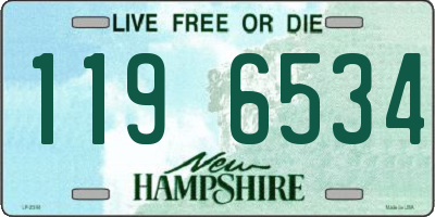 NH license plate 1196534